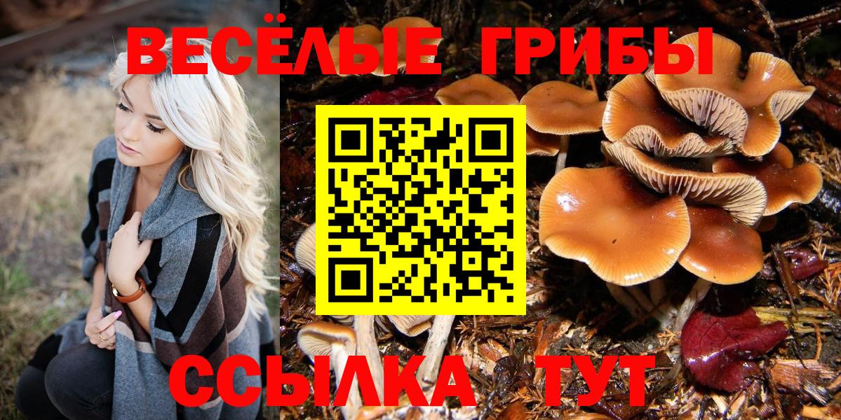 Междуреченск  Псилоцибиновые грибы Cubensis  Вход с VPN 