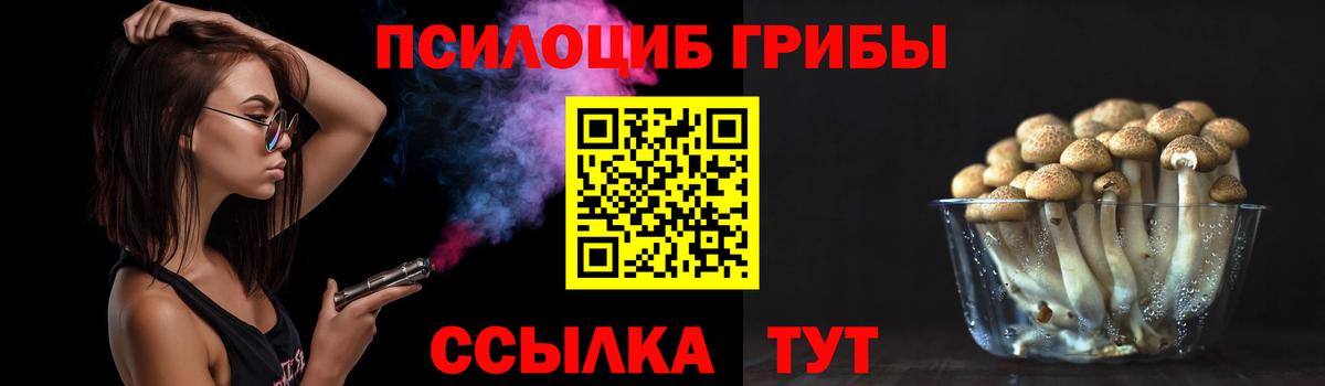 Галлюциногенные грибы MAGIC MUSHROOMS Междуреченск